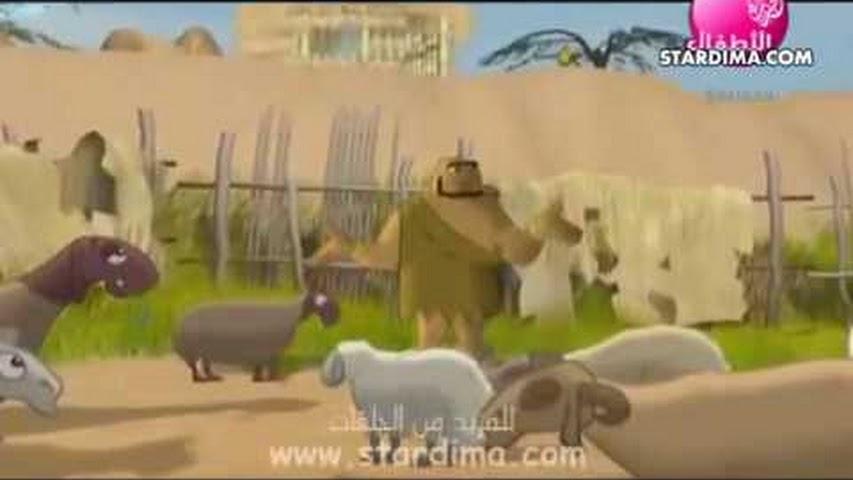 قصص الحيوان في القرآن الحلقة 01