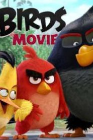 فيلم الكرتون الطيور الغاضبة | The Angry Birds Movie مترجم عربي