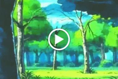 بوكيمون الجزء الثالث الحلقة 14