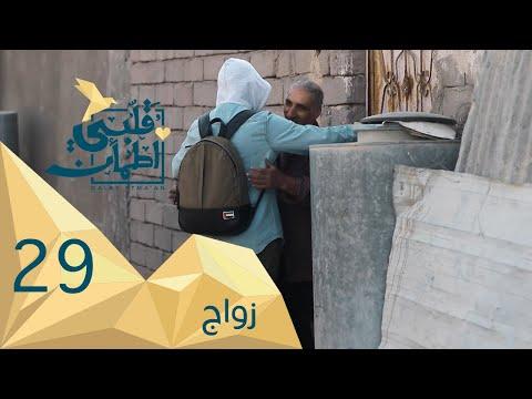 برنامج قلبي اطمأن الموسم 2 الحلقة 29 زواج – العراق