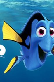 فيلم الكرتون البحث عن نيمو | Finding Nemo مدبلج لهجة مصرية