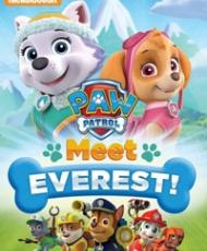 Paw Patrol: Meet Everest! (2015)