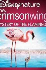 فلم الجناح القرمزي The Crimson Wing Mystery of the Flamingos مدبلج