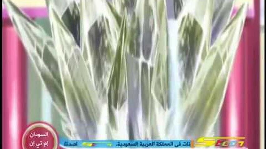 jewelpet رنين الجواهر الموسم الثاني مدبلج الحلقة 14