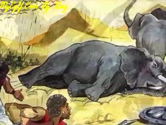 قصص حيوانات ذكرت فى القرآن – قصة الفيل