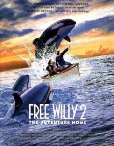 فيلم Free Willy 2 إطلاق سراح ويلي 2 مدبلج من كرتون نتورك بالعربي