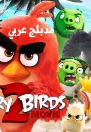 النسخة المدبلجة كرتون فيلم الطيور الغاضبة 2 – The Angry Birds Movie 2 ناطق بالعربية